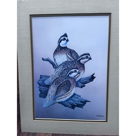 Vintage Set of J.W. Thrasher Mourning Dove &  Bob White Quail Matted Art Prints - Picture 2 of 9